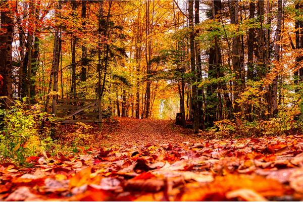 5 tips om veilig te fietsen in de herfst